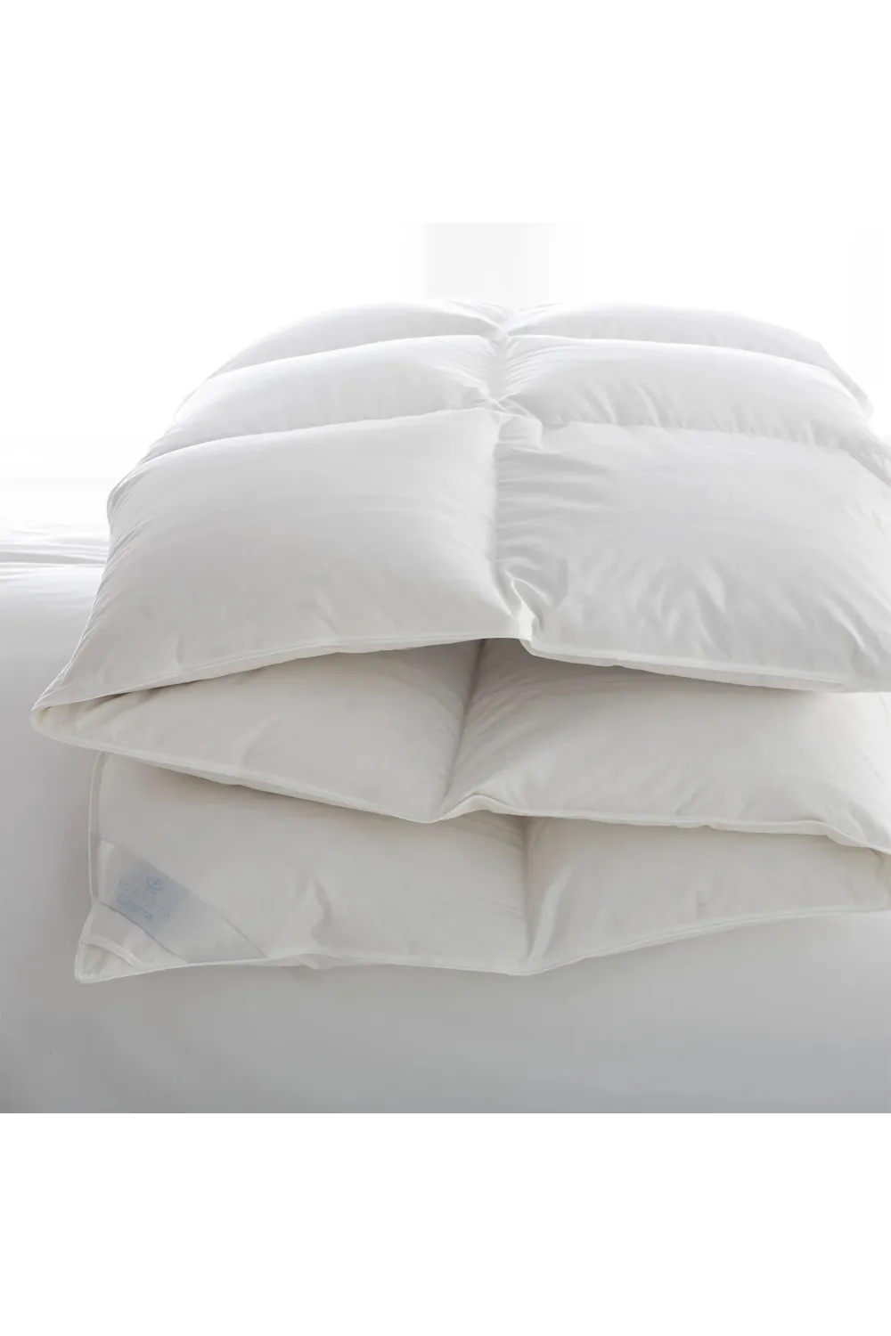 350TC Sateen Piping King Comforter | Scandia Lucerne