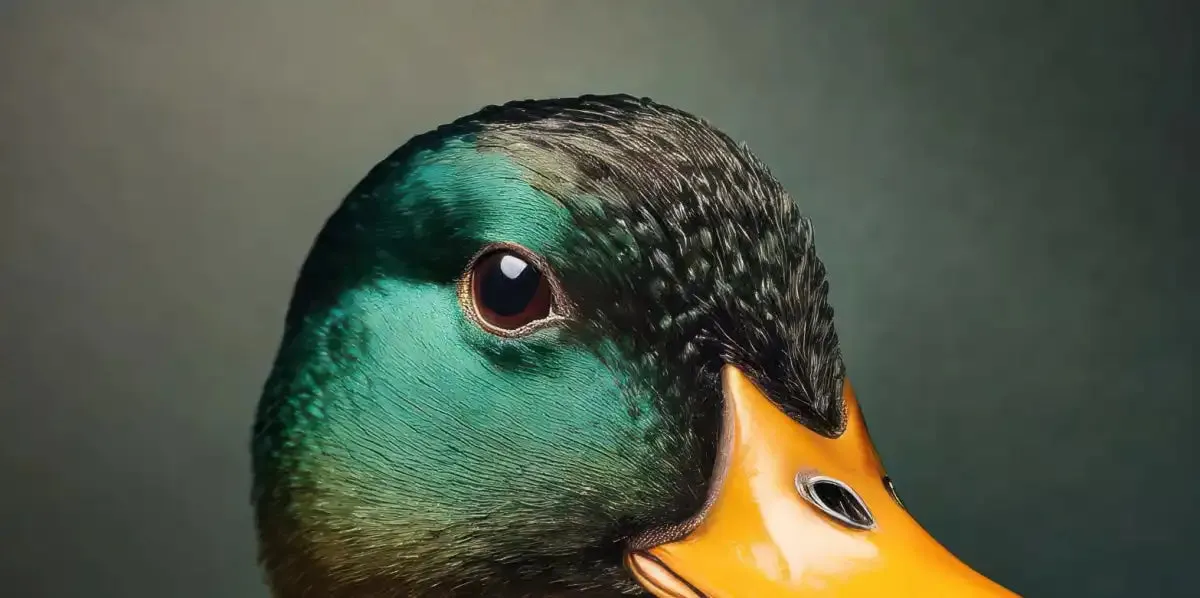 A Duck Portrait Wall Art