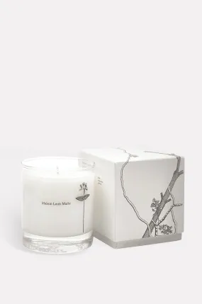 Antidris Cassis Candle