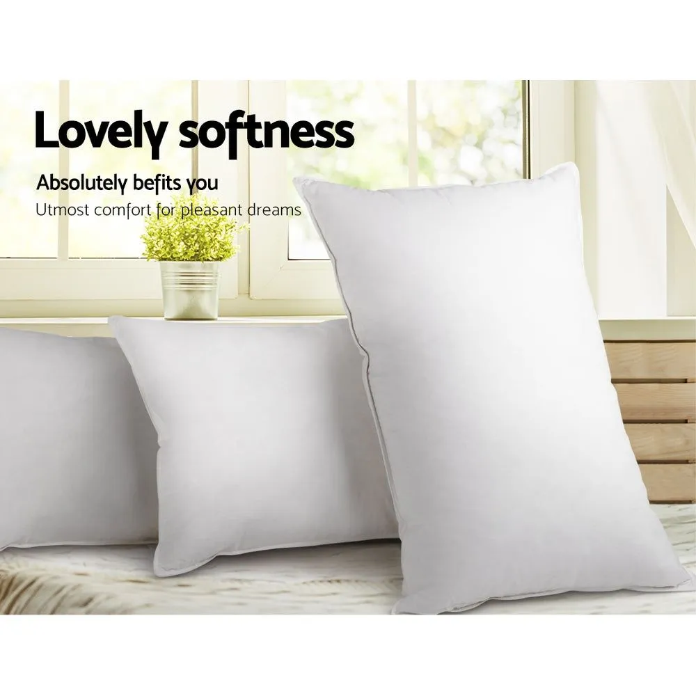 Giselle Bedding Goose Feather Down Pillow Twin Pack