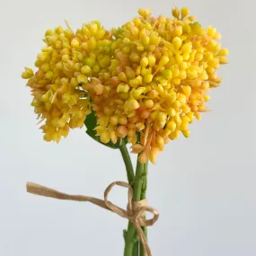 Hand Tied Yellow Fruits