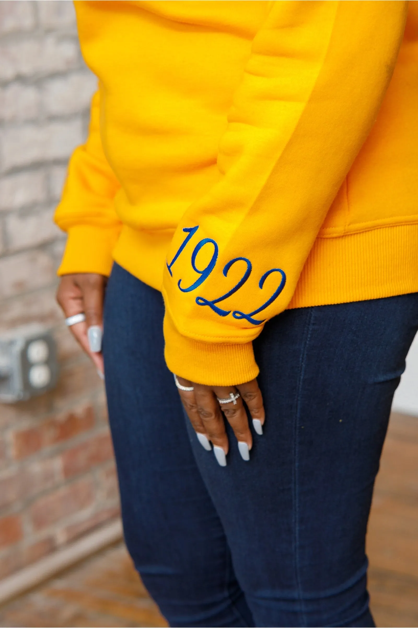 HBCU SGRho Chenille Sweatshirt