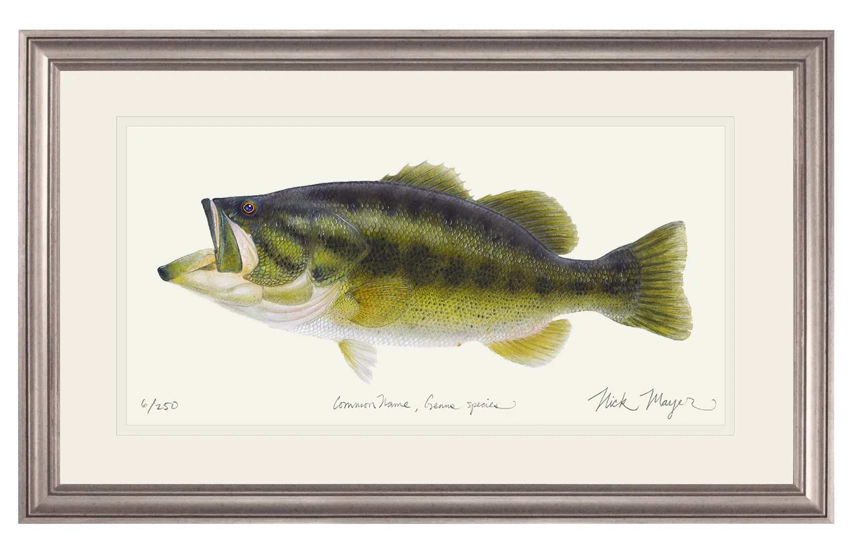 Largemouth Bass I Print