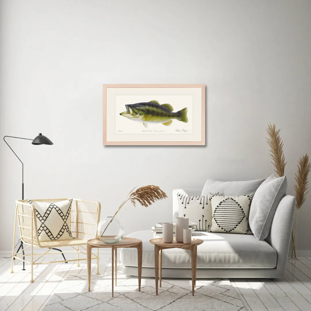 Largemouth Bass I Print