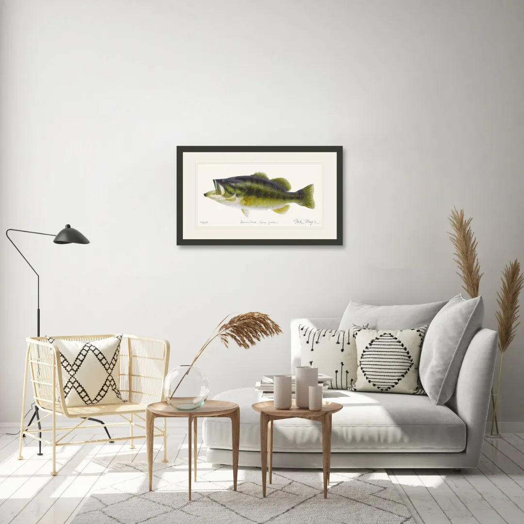 Largemouth Bass I Print