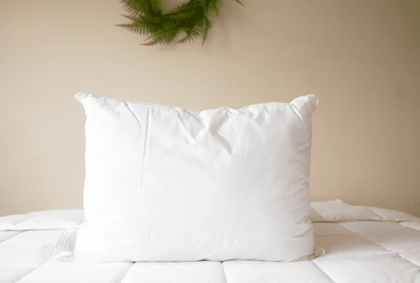 Pillowtex Down Alternative Pillow | Soft