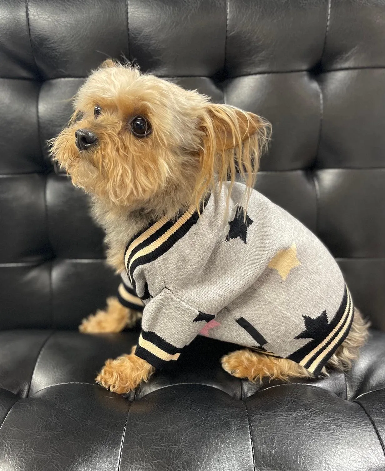 Star Puppy Cardigan